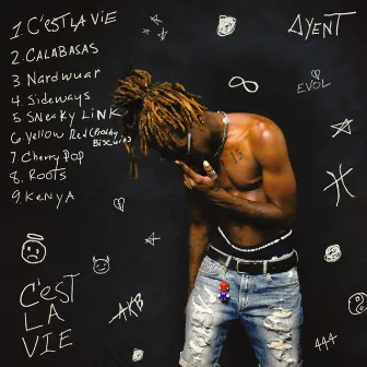 Cèst LA Vie by Ayent