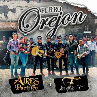 Perro Orejon by Banda Aires del Pacífico