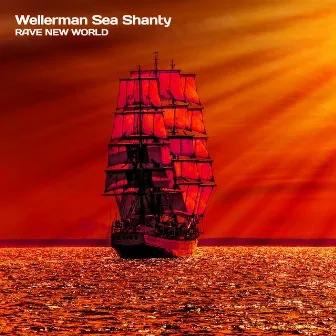 Wellerman Sea Shanty by Rave New World