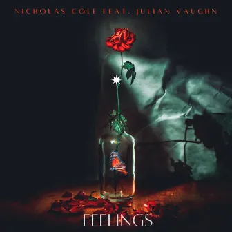 Feelings by Nicholas Cole