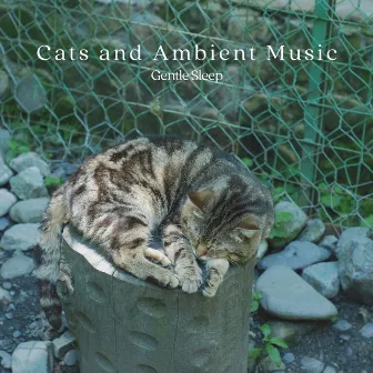 Cats and Ambient Music: Gentle Sleep by Deep Sleep Music Masters