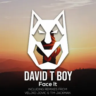 Face It by David T Boy