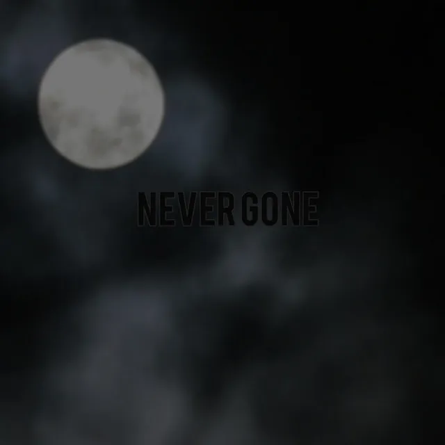 Never Gone