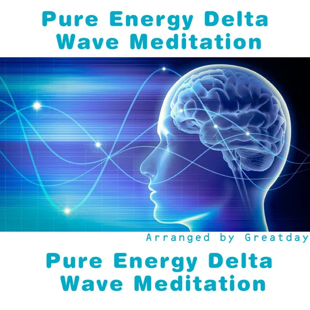 Pure Energy Delta Wave Meditation