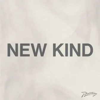 New Kind (Remixes) by Gabe Gurnsey