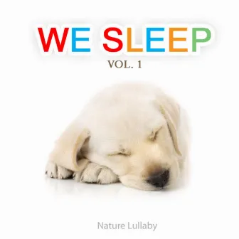 We Sleep - Nature Sounds and White Noise for Toddlers and Babys As Lullabies and Nursery Rhymes for Sleep At Night by Mother Nature Sounds