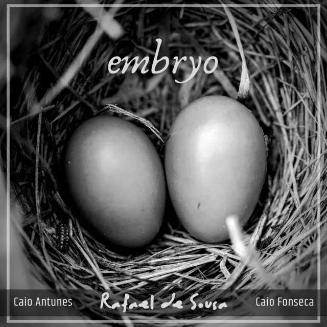 Embryo