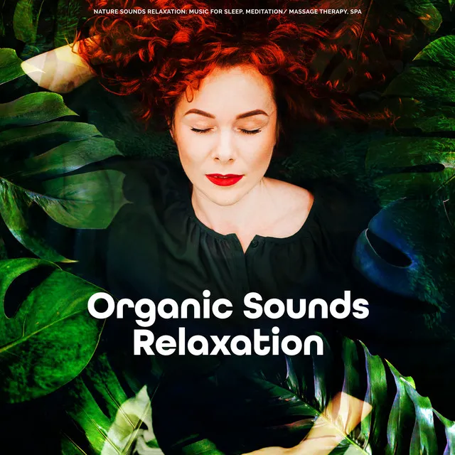 Organic Sounds Relaxation