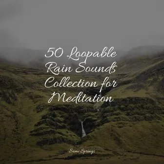 50 Loopable Rain Sounds Collection for Meditation by Unknown Artist