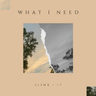 What I Need by Slimb