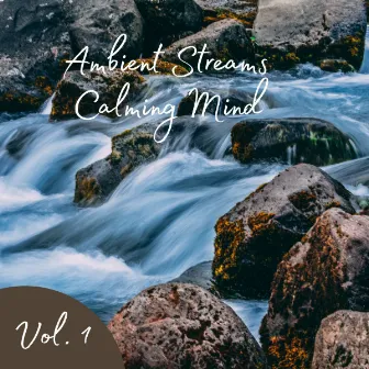 Ambient Streams Calming Mind Vol. 1 by Binaural Moods