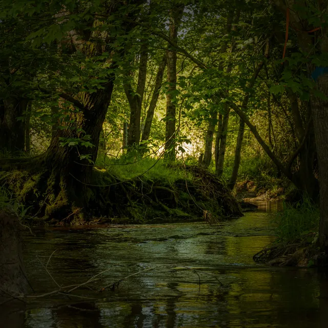 Sparkling Energy Creek