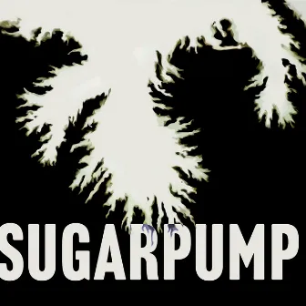 Sugarpump by Jan Liljekvist