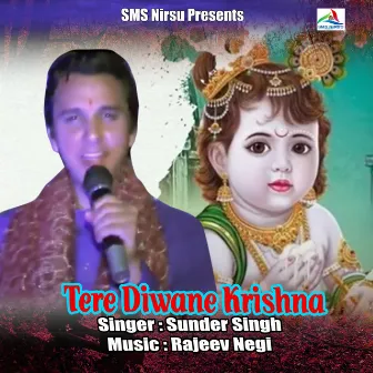 Tere Diwane Krishna by Sunder Singh