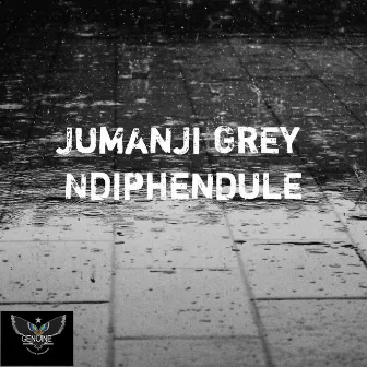 Ndiphendule by Jumanji Grey