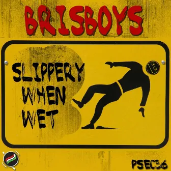 Slippery When Wet by Brisboys