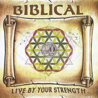 Live By Your Strength by Biblical