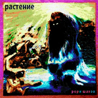 Растение by рори шахов