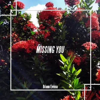 Missing You by Briann Eivissa