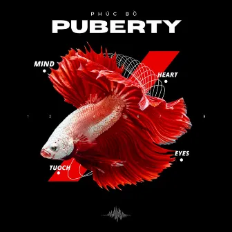 PUBERTY by Phúc Bồ