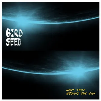 Next Trip Around the Sun by Birdseed