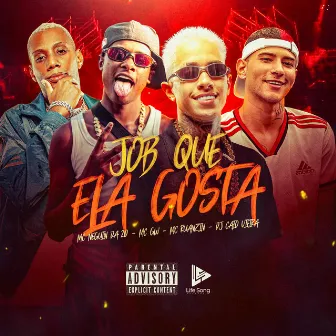 Job Que Ela Gosta by Dj Caio Vieira