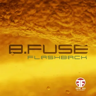 Flashback Ep by B Fuse