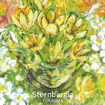 Sternbergia by TORAUMA