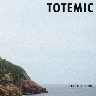 Past The Point by Totemic