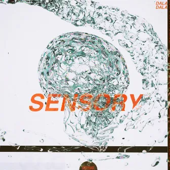 Sensory by Dala