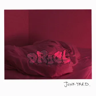 Junkyard - EP by Drool