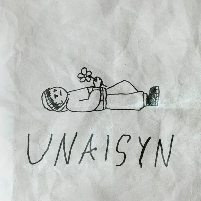 Unaisyn