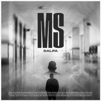 MS by Salfa