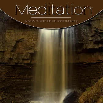 Meditation, Vol. Brown, Vol. 3 by Meditation String