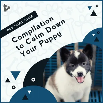 Compilation to Calm Down Your Puppy by Relaxing Music for Dogs