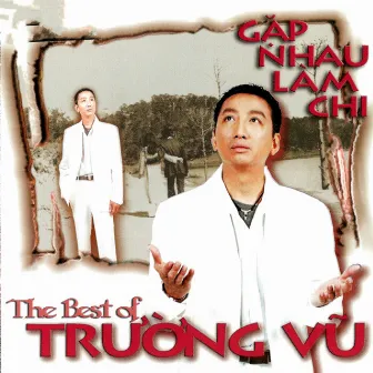 The Best of Trường Vũ by Trường Vũ