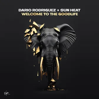 Welcome to the Goodlife by Dario Rodriguez