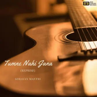 Tumne Nahi Jana (Reprise) by Shravan Mantri