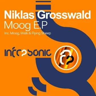 Moog E.P by Niklas Grosswald