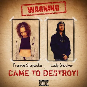 Came To Destroy by Frankie StayWoke