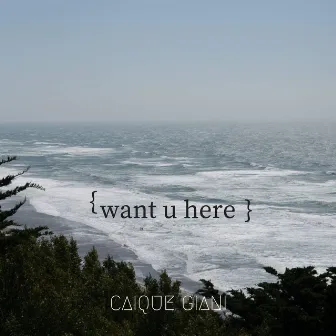 Want U Here by Caique Giani