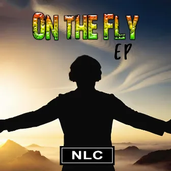 On The Fly by NLC