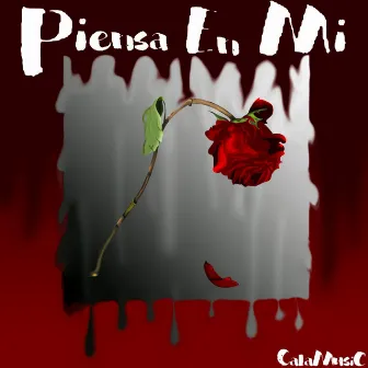 Piensa en Mi by CalaMusic