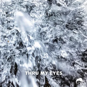 Thru My Eyes by Slater Manzo