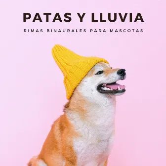 Patas Y Lluvia: Rimas Binaurales Para Mascotas by Bonitos ruidos de lluvia