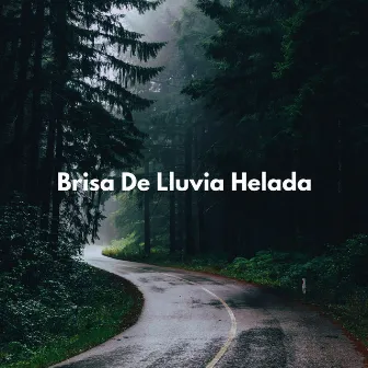 Brisa De Lluvia Helada by Lluvia Sonidos FX