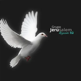 Llegaste Tu by Grupo Jerusalem