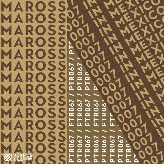 007 In Mexico (Radio Edit) by Maross