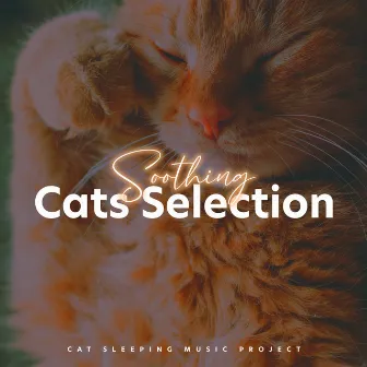 Soothing Cats Selection by Cat Sleeping Music Project