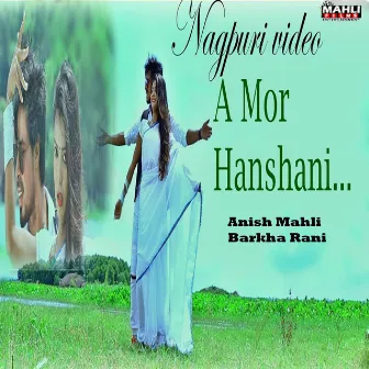 A Mor Hansini by Anish Mahli